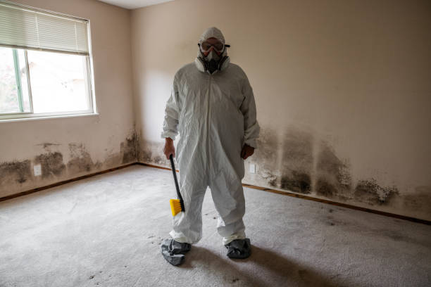 Certified Mold Removal in Taylorsville, UT